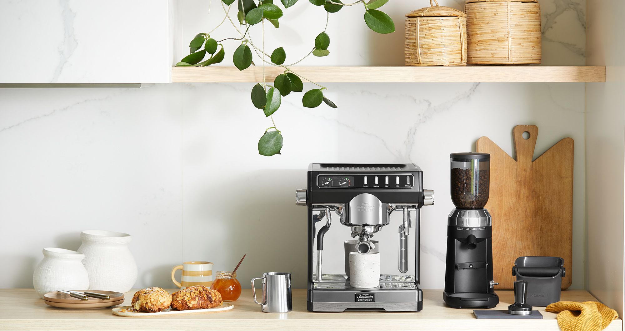Conical Burr Coffee Grinder 